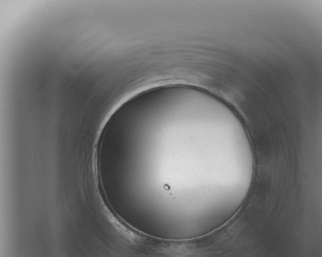 X0000068311516200604281722