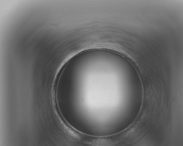 X0000068311517200604281722