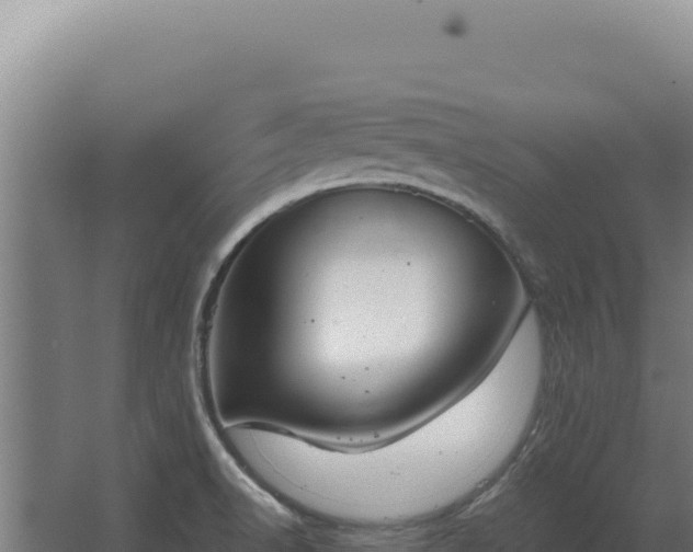 X0000068311518200604281722