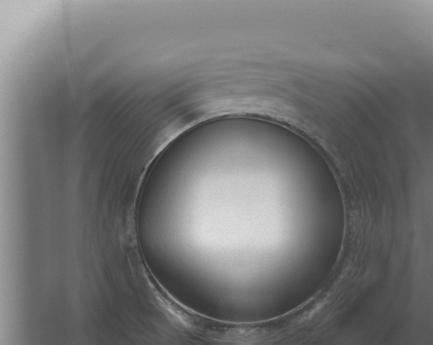 X0000068311521200604281722