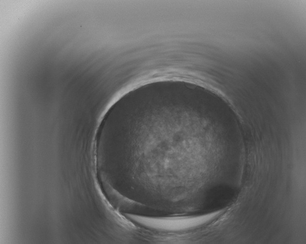 X0000068311522200604281722