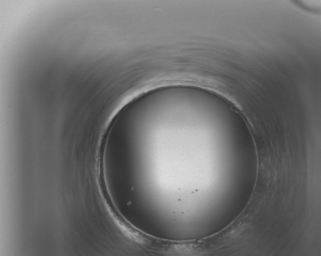 X0000068311523200604281722