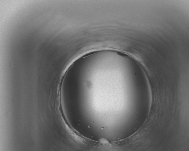 X0000068311524200604281722