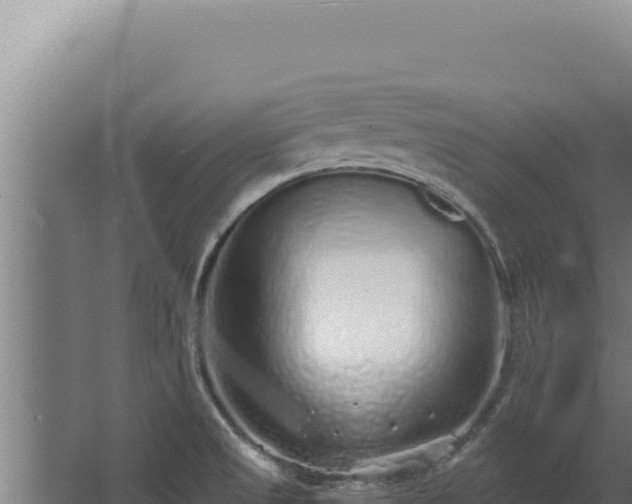 X0000068311525200604281722