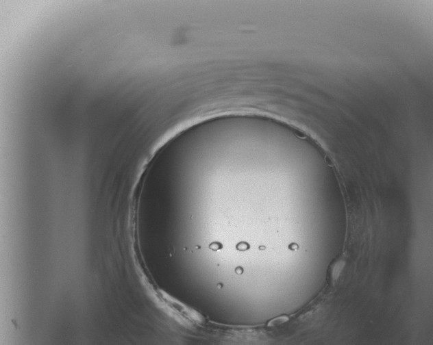 X0000068311526200604281722