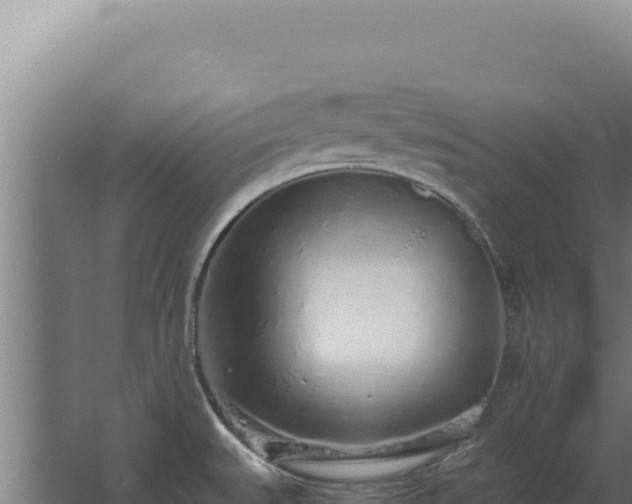 X0000068311527200604281722