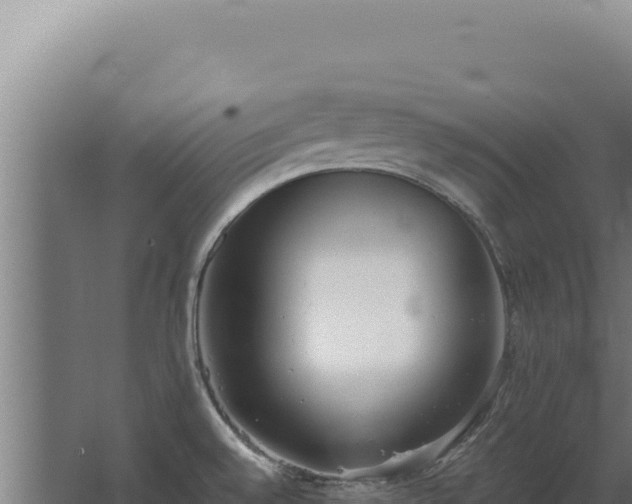 X0000068311528200604281722