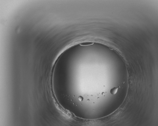 X0000068311530200604281722