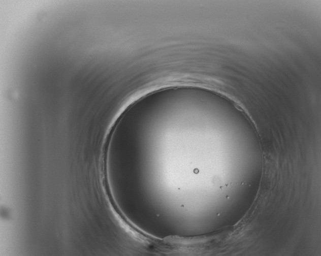 X0000068311531200604281722