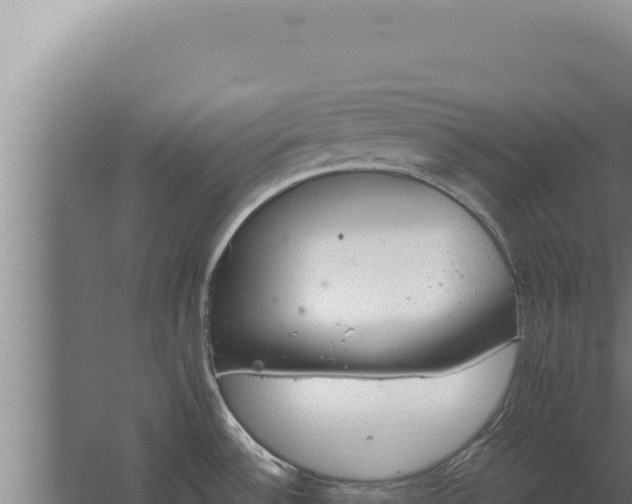 X0000068311532200604281722