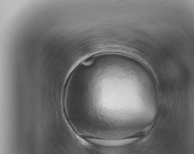 X0000068311533200604281722