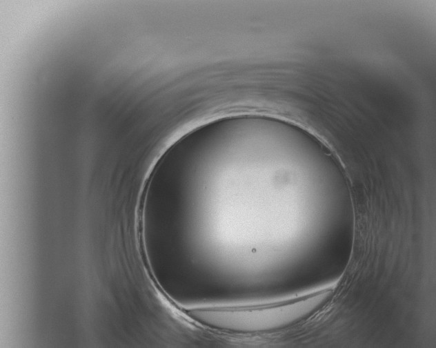 X0000068311535200604281722