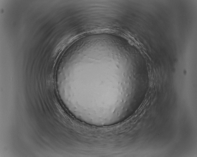 X0000068310002200605051543