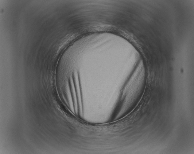 X0000068310010200605051542