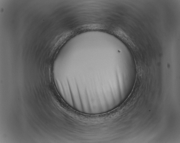 X0000068310014200605051542