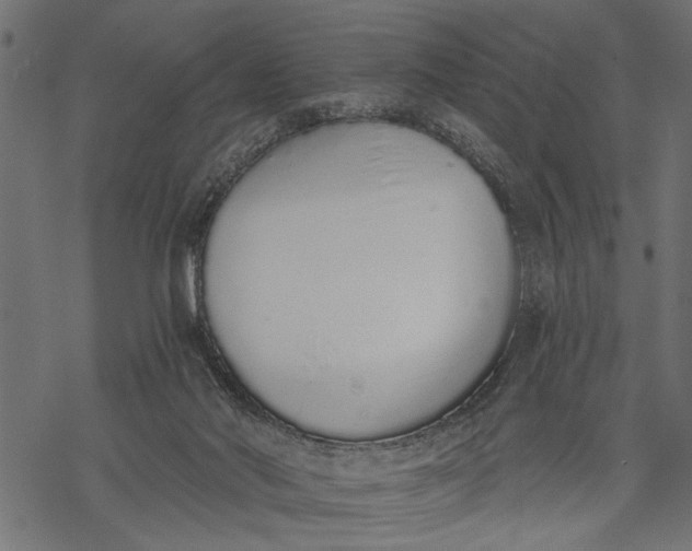X0000068310022200605051542