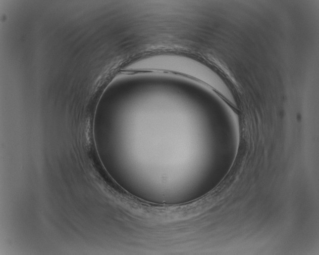 X0000068310023200605051542