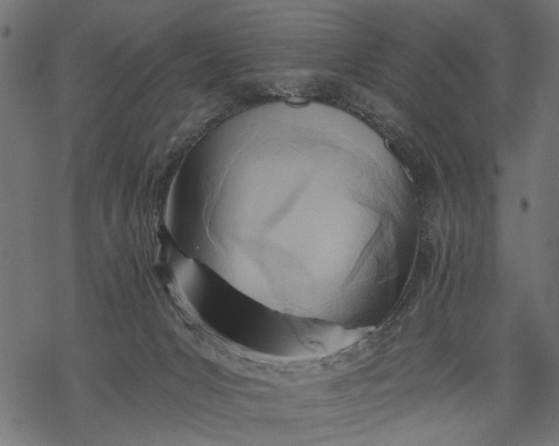 X0000068310031200605051542
