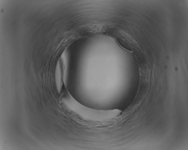 X0000068310035200605051542