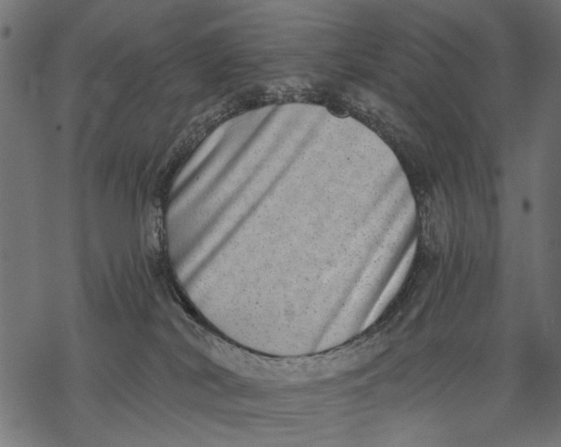 X0000068310038200605051542