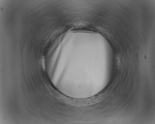 X0000068310042200605051542