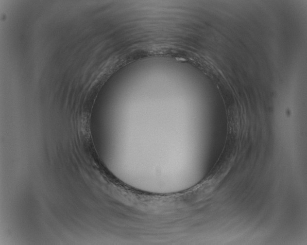 X0000068310044200605051542