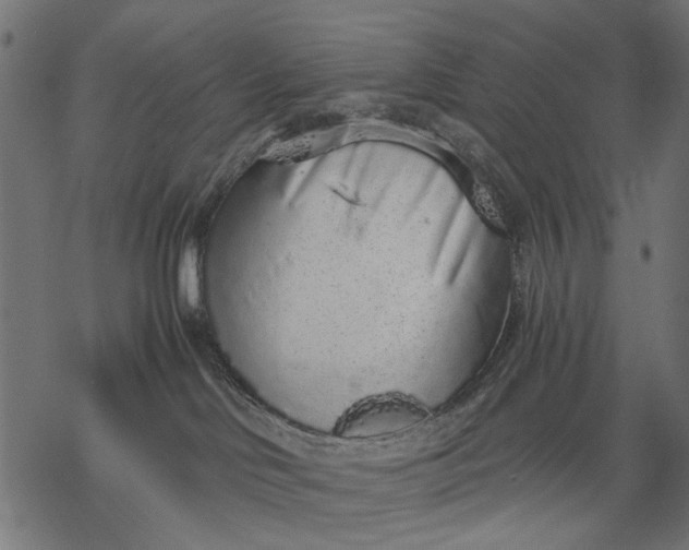X0000068310046200605051542