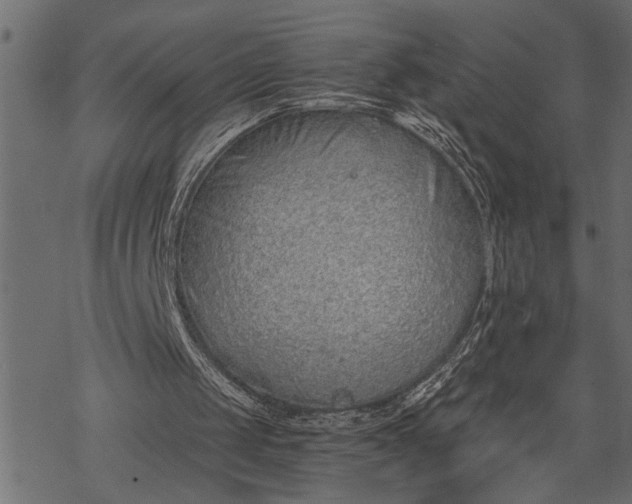 X0000068310049200605051541