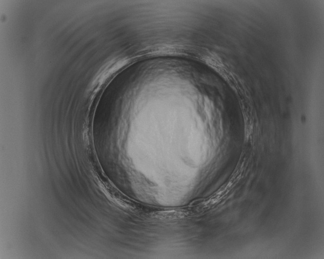 X0000068310050200605051541