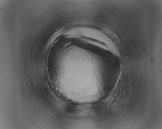X0000068310051200605051541