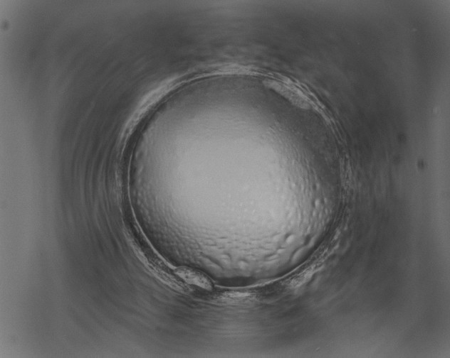 X0000068310055200605051541
