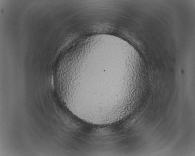 X0000068310067200605051541