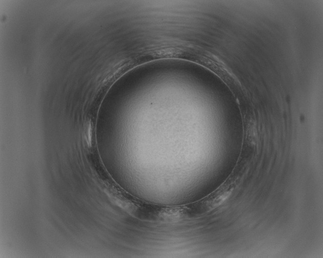 X0000068310076200605051541