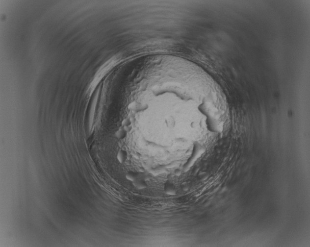 X0000068310099200605051541