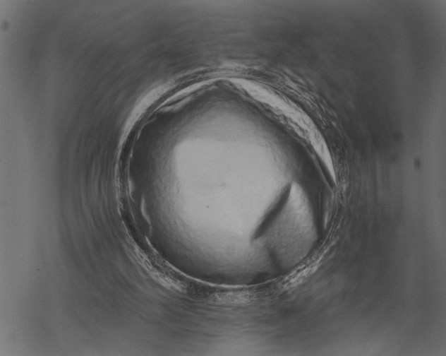 X0000068310102200605051541