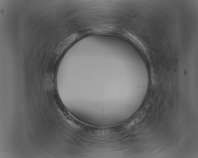 X0000068310105200605051541