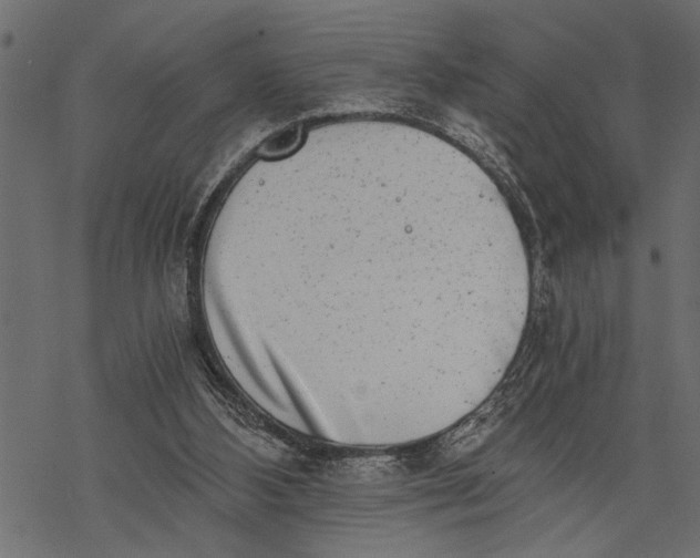 X0000068310108200605051541