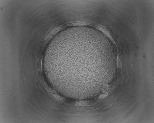 X0000068310109200605051541