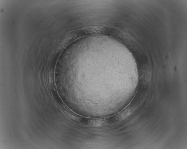 X0000068310131200605051540