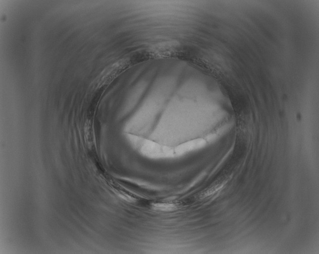 X0000068310139200605051540