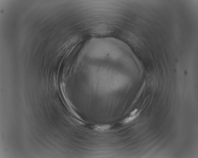 X0000068310143200605051540