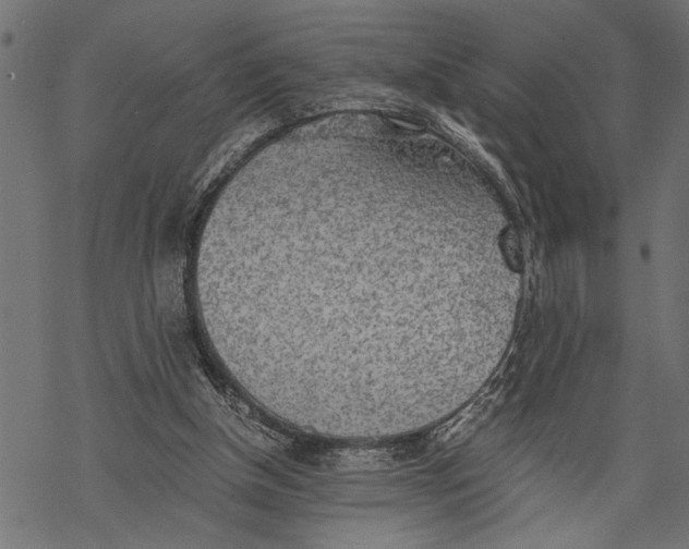 X0000068310154200605051540