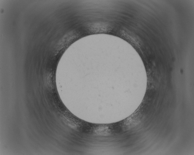 X0000068310162200605051540