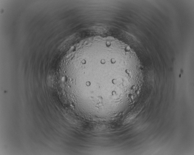 X0000068310177200605051540