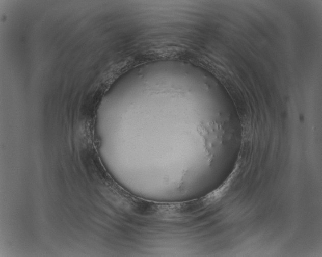 X0000068310182200605051540