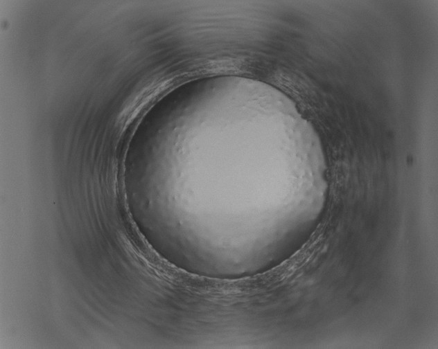 X0000068310194200605051539