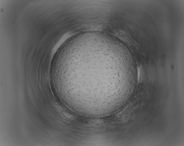 X0000068310195200605051539