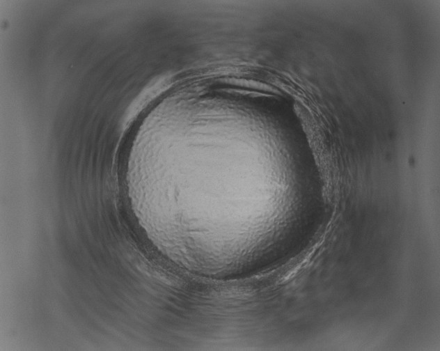 X0000068310198200605051539
