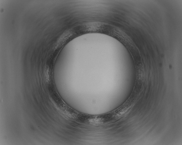 X0000068310216200605051539