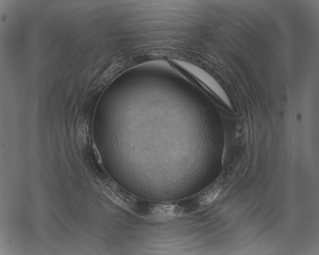 X0000068310227200605051539